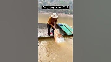 Người đẹp và thủy quái..!! #funny
