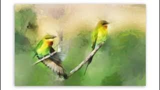 DpRSound Presents. Bruno & The Birds