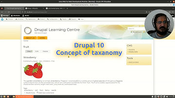 Drupal 10 - Concept of taxonomy