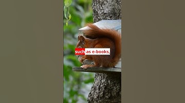 What is PDA (Patron-Driven Acquisitions) or DDA (Demand-Driven Acquisition?