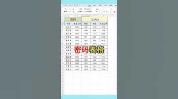 excel密码表格#excel #wps #文员 #0基础学电脑 #办公技能