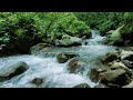 Peaceful Piano Music by the River 🌿 Soft Water Stream for Sleep, Meditation & Healing (10 Hours).mp4
