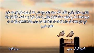 سورة التوبة والزمر II الشيخ أبوبكر مومني صلاة المغرب 30-04-2019