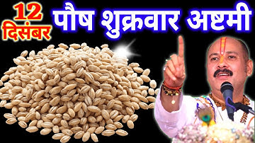 12 दिसंबर पौष शुक्रवार अष्टमी तिथि के दिन 11 गेंहू के दाने वाला उपाय जरुर करे || Pradeep Ji Mishra