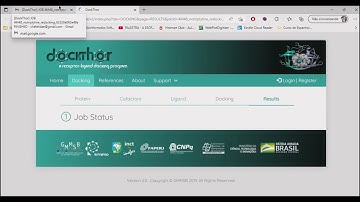 Video 7: Re-docking and cross-docking using DockThor