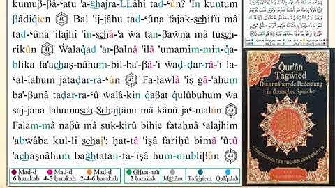 ختمة من مصحف التجويد باللغة الألمانية الصفحة رقم 132