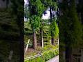 #sorts #viral Amar Moner shopno Jani na