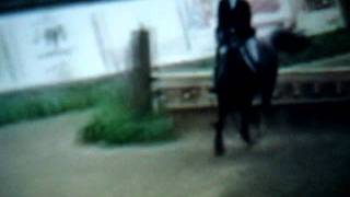Maclay Finals 2011- Test Sarah Milliren WINNER