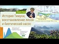 История Тижуки, восстановление лесов и биотический насос!