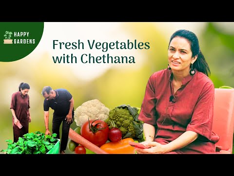 Happy gardens terrace gardening customer story in bangalore