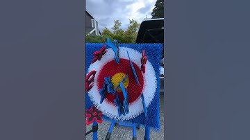 ★★★★★ How it sets up: This Axe Throwing Game - Ninja Stars