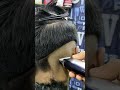Zero Cut on Long Hair | Stylish | two steps cut | Faded hair cut