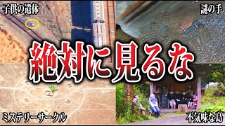 【ゆっくり解説】見てはいけない...Googleマップに写ってしまったヤバいもの