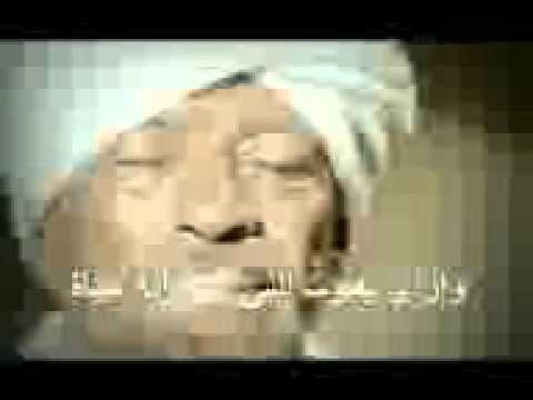 يا دنيا عايشين 3gp