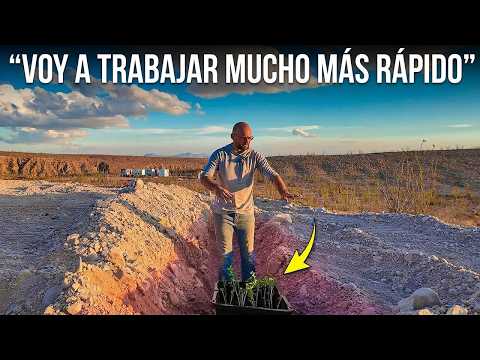 Este truco multiplicó por diez mis posibilidades de hacer crecer árboles en el desierto