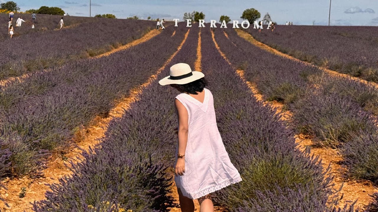 Summer in Provence, Southern France 2025
