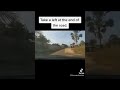 How To Find Serengeti Beach! (Coco Ocean)