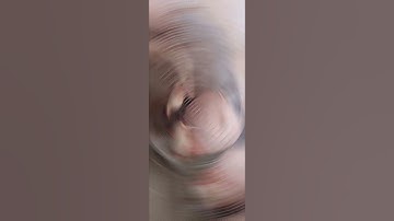 Beauty of Fawn Java pair, its ready to 1st breed.