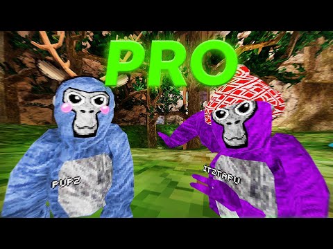 What a PROFESSIONAL Gorilla Tag Duo Looks Like...