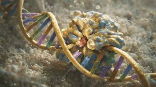 Your DNA Breaks 10 000 Times a Day Here s How It Fixes Itself