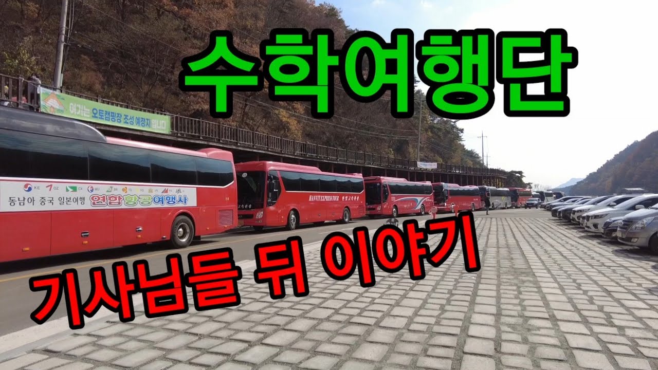 관광버스 기사님들 대기시간 뭐하고있을까?
