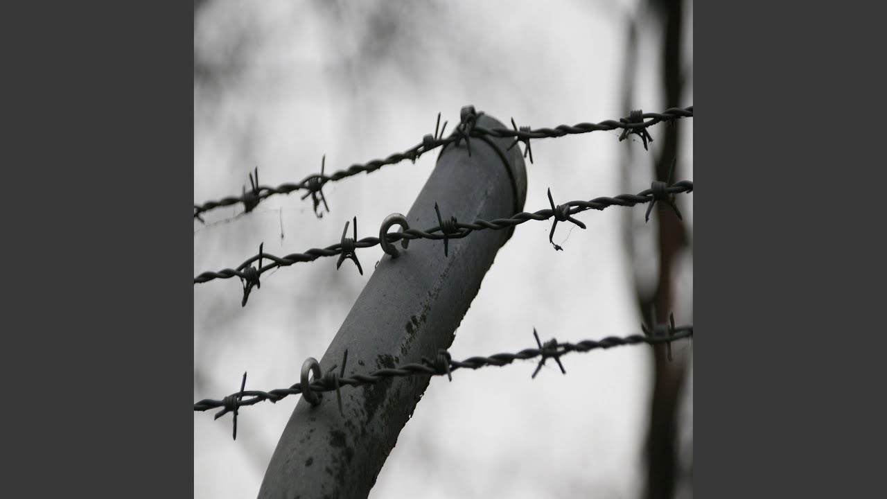 DOPO IL FILO SPINATO