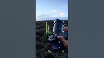 HDR vs SDR ｜ HNCS HDR Depth with Hasselblad X2D II 100C