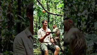 #animals #mankey #ai #apple #forest #world #orange #india #bihar