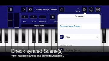 bismark bs-16i (iOS/iPadOS) - Sync Scene via iCloud Drive