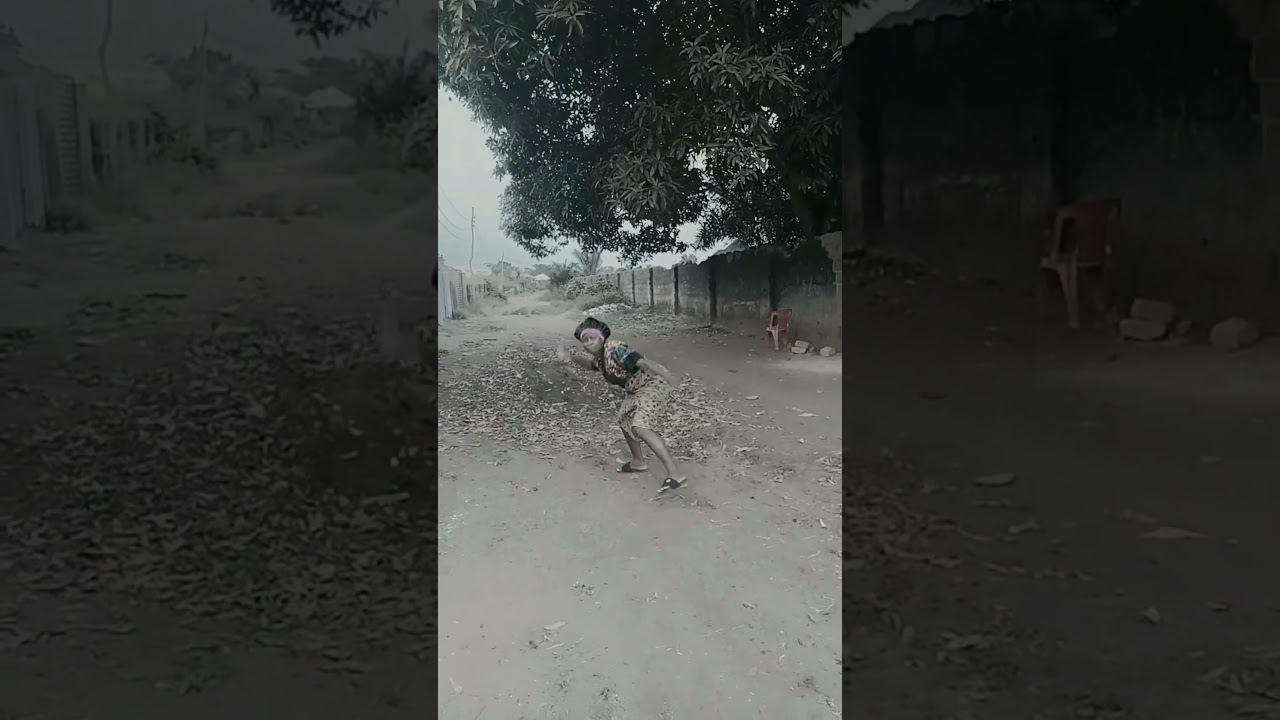 забавная собака 