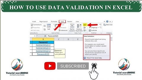 How to use Data Validation in Ms Excel - In Urdu/Hindi