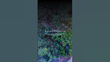 قران كريم #اكسبلور #المصحف #قران كريم #لايك