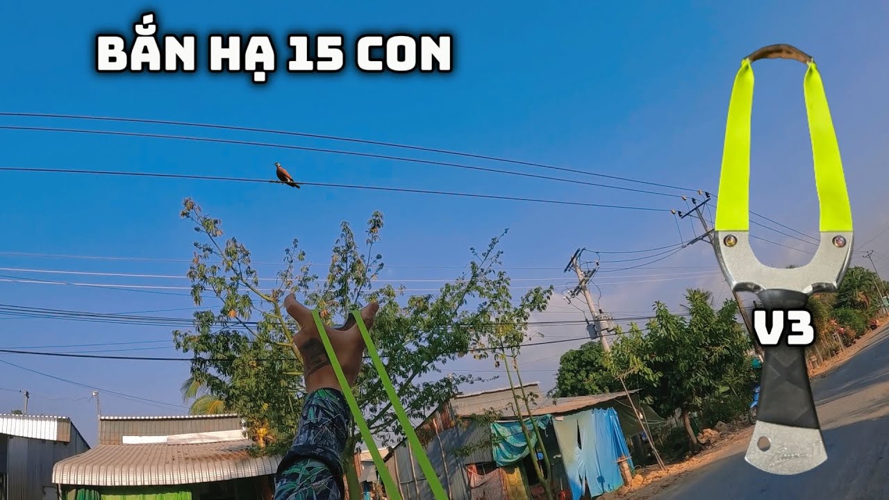 Tuấn Nhỏ || Sử Dụng Ná Mới Bắn Hạ 15 Chim Cu Cực Phiêu....
