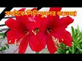 আসসালামুয়ালাইকুম, রবিবারের লাইভ আড্ডায় সবাইকে স্বাগতম, চটজলদি সবাই লাইভে জয়েন হও 🌺🌺🌺