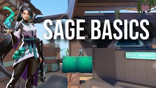 Sage Wall Guide | Beginners Guide