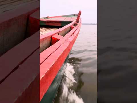 🚣 জবই বিলে নৌকা ভ্রমণের সেরা মুহূর্ত | My Rural Journey BD #Shorts #JaboiBeel #BoatRide #Naogaon