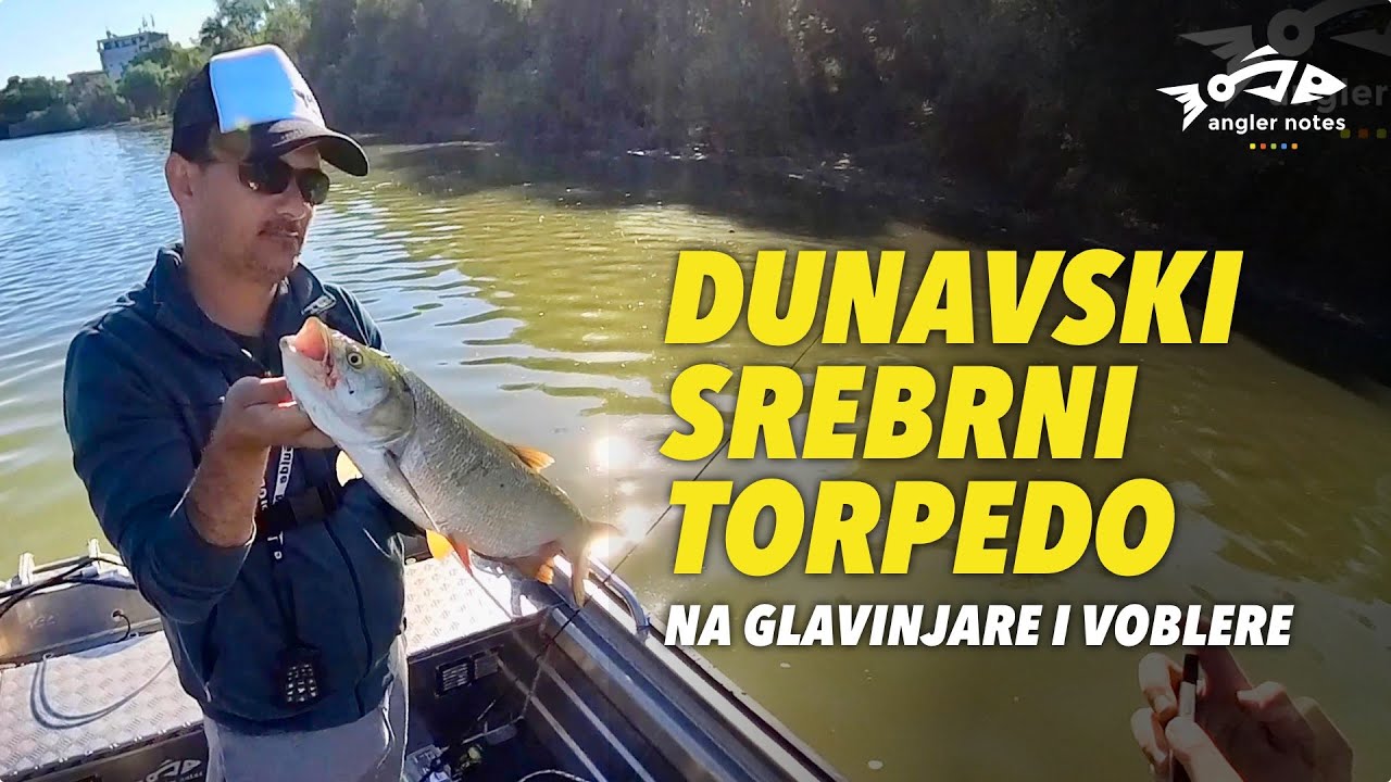 Bucov - Dunavski Srebrni Torpedo / Fishing Danube Aspius