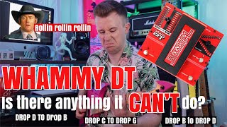 Digitech Whammy DT - Don’t buy another guitar. BUY THIS!