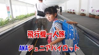 子供だけで簡単に飛行機に乗る方法 ANAジュニアパイロットで一人旅