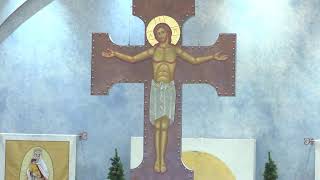 Sunday 11:00am Mass