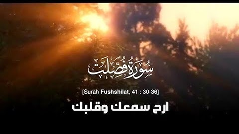 تلاوة هادئة تريح القلب والنفس من القرآن الكريم لما تيسر من سورة فصلت