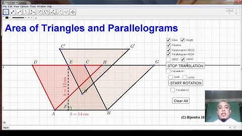 Area Theorems described