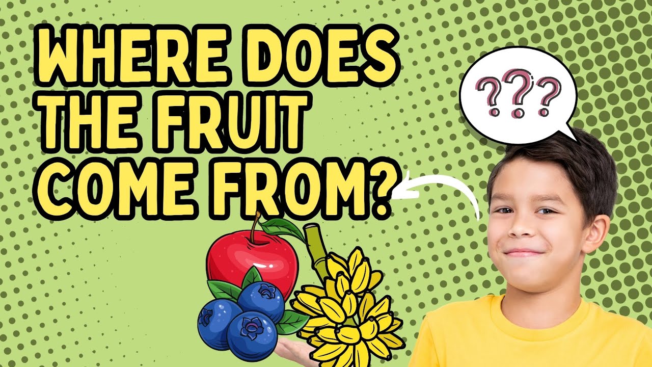 Exploring Where Fruits Come From | Fun and Educational Kids Video!"
