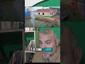 Il video brasiliano dei pesci uccisi da un palo della luce è fatto con AI
