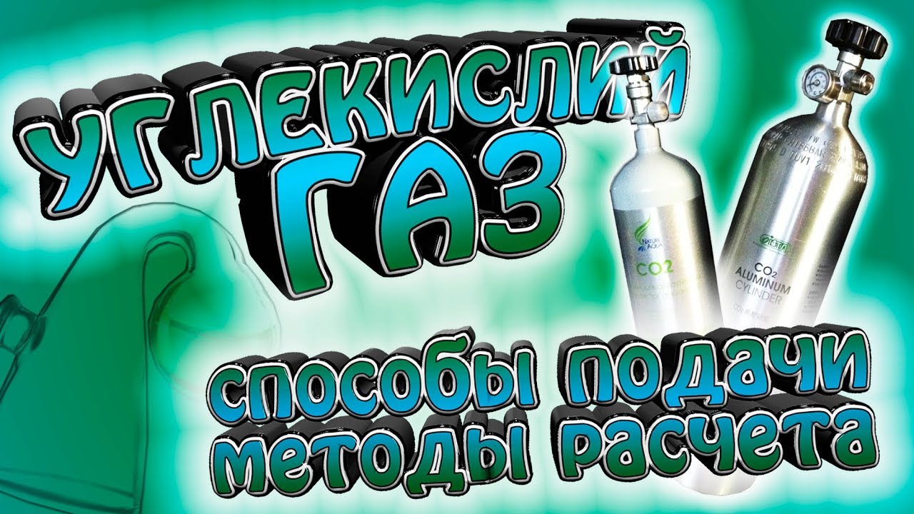 Углекислый газ в аквариуме. Считаем концентрацию. Методы подачи - YouTube