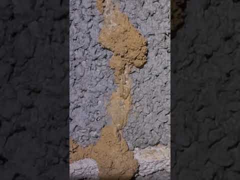 Video: Het termiete lang vlerke?