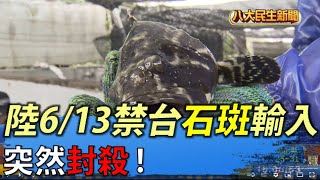 突然封殺! 陸6/13起禁台石斑輸入 |【民生八方事】| 2022061103 @gtvnews27