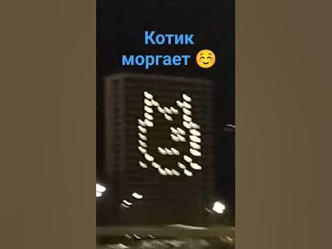 котик моргает ☺ - YouTube