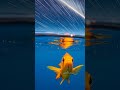 I Witnessed a Meteor Shower Underwater 8K REAL