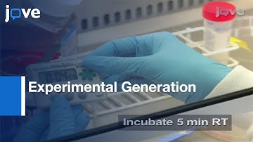 Generation: Carcinoma-Associated Fibroblasts From Human Mammary Fibroblasts l Protocol Preview